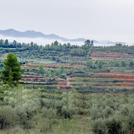 Appartement Camins Del Priorat Ermita Sant Pau à El Masroig Extérieur photo